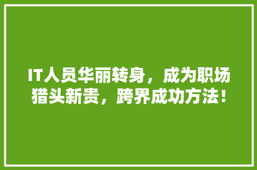 IT人员华丽转身，成为职场猎头新贵，跨界成功方法！ 必应SEO