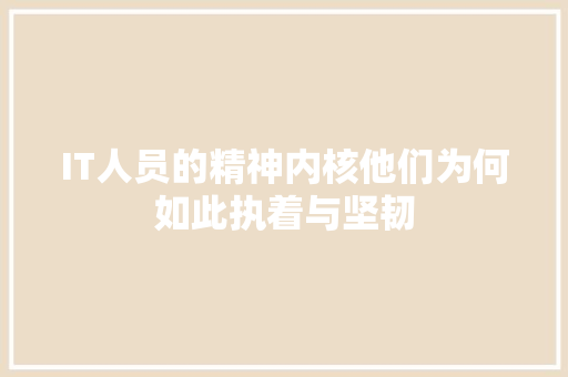 IT人员的精神内核他们为何如此执着与坚韧 百度SEO