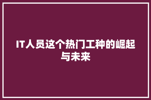 IT人员这个热门工种的崛起与未来 神马SEO