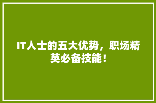 IT人士的五大优势，职场精英必备技能！ 必应SEO