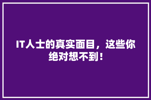 IT人士的真实面目，这些你绝对想不到！ 百度SEO