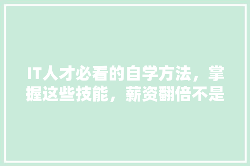 IT人才必看的自学方法，掌握这些技能，薪资翻倍不是梦！ 神马SEO