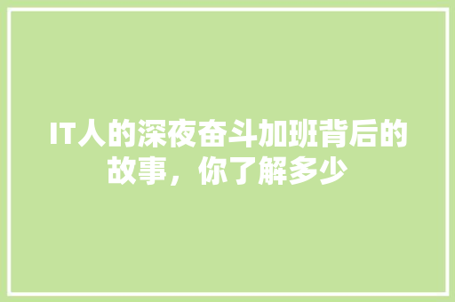 IT人的深夜奋斗加班背后的故事，你了解多少 GoogleSEO