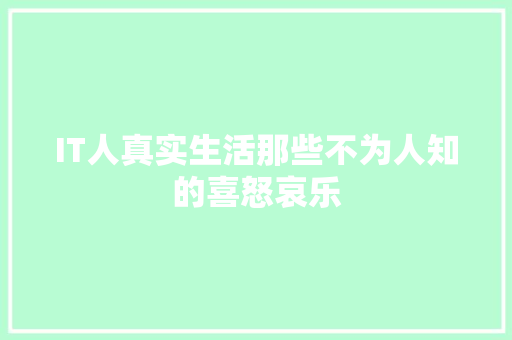 IT人真实生活那些不为人知的喜怒哀乐 GoogleSEO