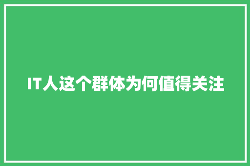 IT人这个群体为何值得关注 必应SEO