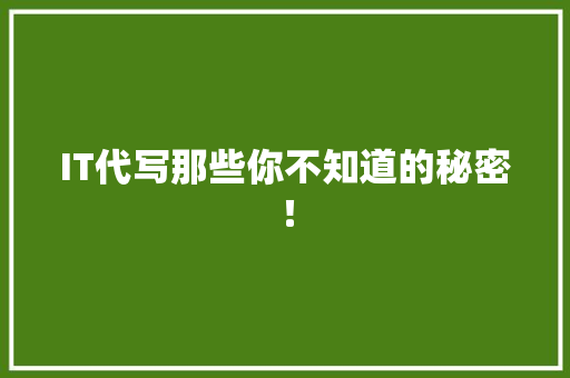 IT代写那些你不知道的秘密！ 百度SEO