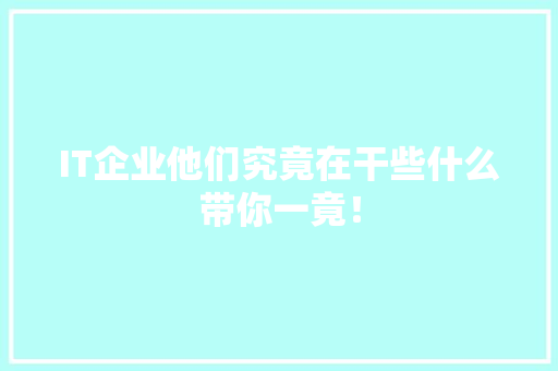 IT企业他们究竟在干些什么带你一竟！ 搜狗SEO