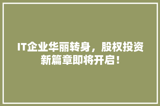 IT企业华丽转身，股权投资新篇章即将开启！ GoogleSEO