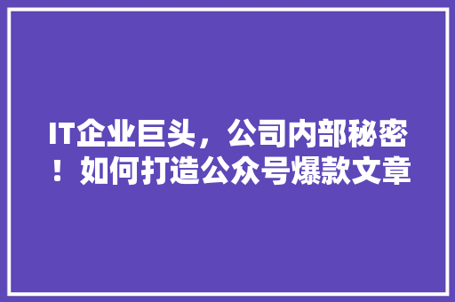 IT企业巨头，公司内部秘密！如何打造公众号爆款文章 百度SEO