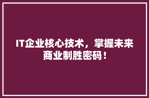 IT企业核心技术，掌握未来商业制胜密码！ 百度SEO