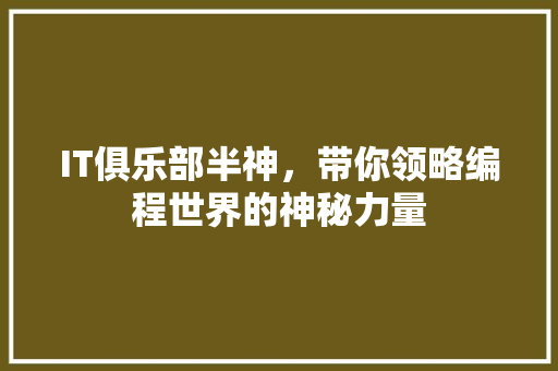 IT俱乐部半神，带你领略编程世界的神秘力量 GoogleSEO