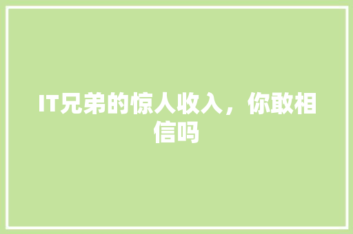 IT兄弟的惊人收入，你敢相信吗 GoogleSEO