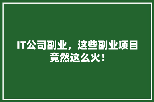 IT公司副业，这些副业项目竟然这么火！ 搜狗SEO