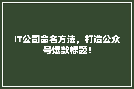 IT公司命名方法，打造公众号爆款标题！ 神马SEO