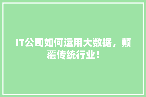 IT公司如何运用大数据，颠覆传统行业！ 神马SEO