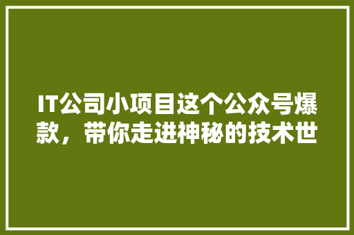 IT公司小项目这个公众号爆款，带你走进神秘的技术世界！ 搜狗SEO