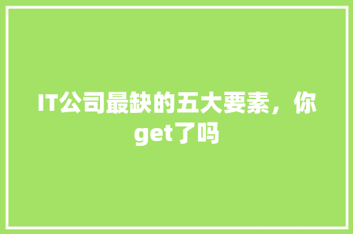 IT公司最缺的五大要素，你get了吗 神马SEO