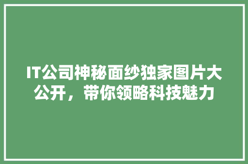 IT公司神秘面纱独家图片大公开，带你领略科技魅力 搜狗SEO