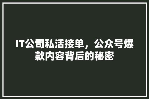IT公司私活接单，公众号爆款内容背后的秘密 百度SEO