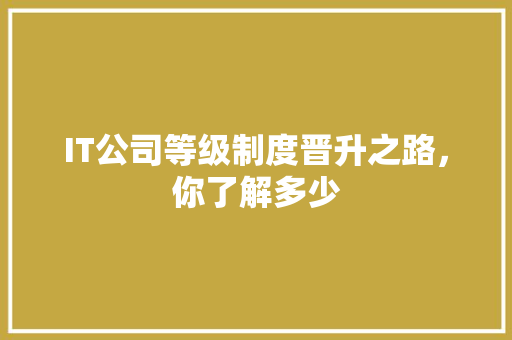 IT公司等级制度晋升之路，你了解多少 GoogleSEO