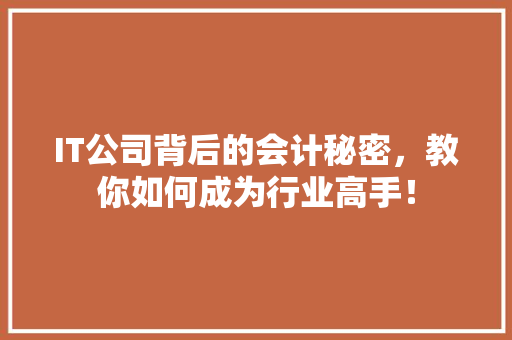 IT公司背后的会计秘密，教你如何成为行业高手！
