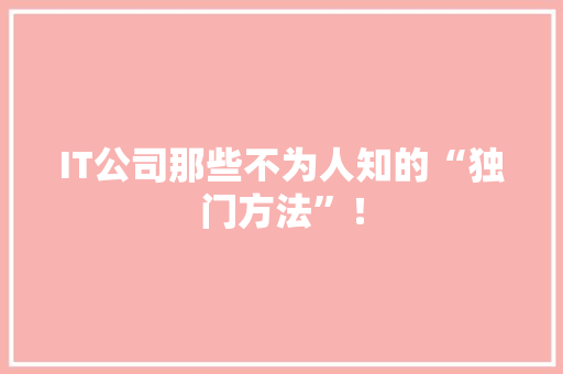 IT公司那些不为人知的“独门方法”！ 百度SEO
