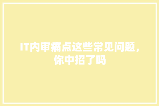 IT内审痛点这些常见问题，你中招了吗