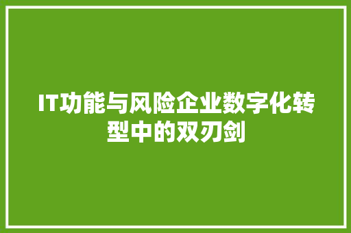 IT功能与风险企业数字化转型中的双刃剑 必应SEO
