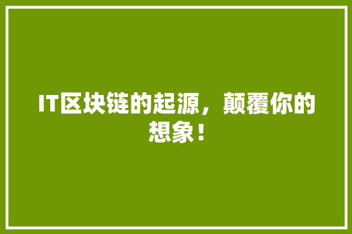 IT区块链的起源，颠覆你的想象！ 神马SEO