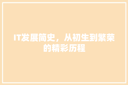 IT发展简史，从初生到繁荣的精彩历程 GoogleSEO