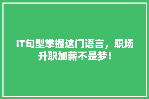IT句型掌握这门语言，职场升职加薪不是梦！ 百度SEO