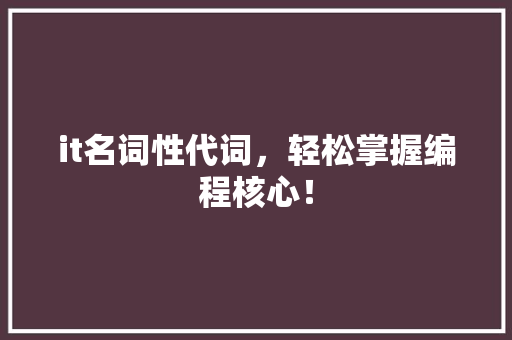 it名词性代词，轻松掌握编程核心！