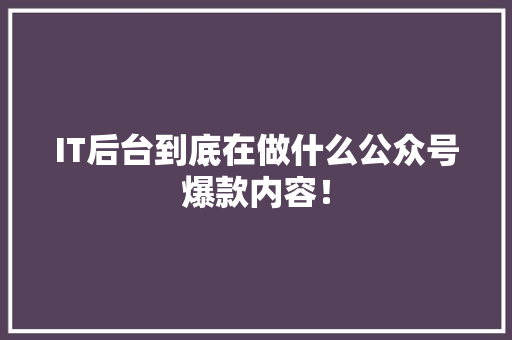 IT后台到底在做什么公众号爆款内容！ 神马SEO