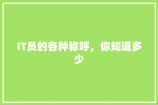 IT员的各种称呼，你知道多少 搜狗SEO