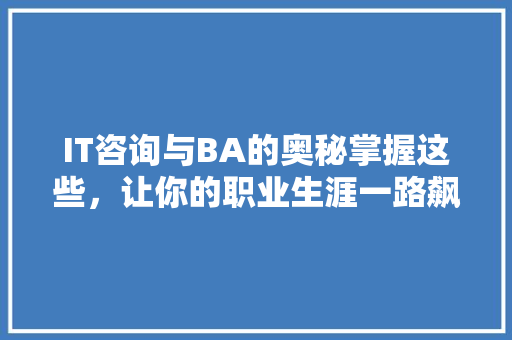 IT咨询与BA的奥秘掌握这些，让你的职业生涯一路飙升！ 百度SEO