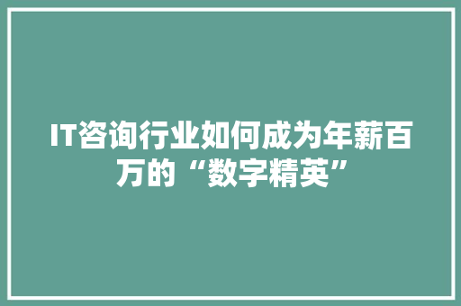 IT咨询行业如何成为年薪百万的“数字精英” GoogleSEO