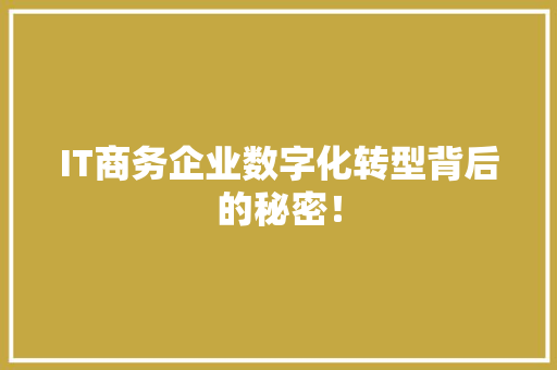 IT商务企业数字化转型背后的秘密！ GoogleSEO