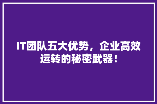 IT团队五大优势，企业高效运转的秘密武器！ 必应SEO