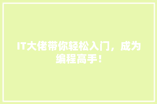IT大佬带你轻松入门，成为编程高手！ 神马SEO