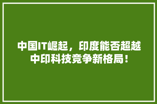 中国IT崛起，印度能否超越中印科技竞争新格局！ 必应SEO