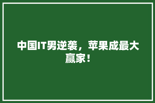 中国IT男逆袭，苹果成最大赢家！ 搜狗SEO