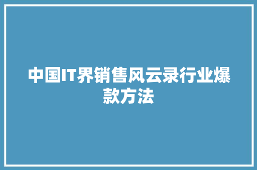 中国IT界销售风云录行业爆款方法