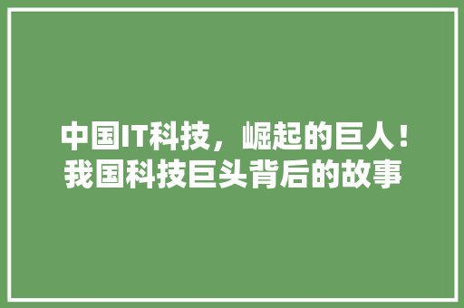 中国IT科技，崛起的巨人！我国科技巨头背后的故事 神马SEO