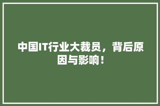 中国IT行业大裁员，背后原因与影响！