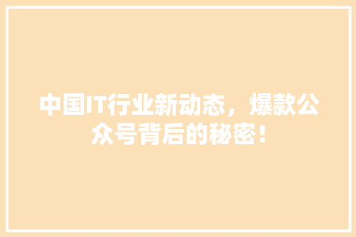 中国IT行业新动态，爆款公众号背后的秘密！