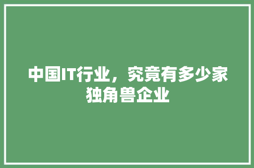 中国IT行业，究竟有多少家独角兽企业 GoogleSEO