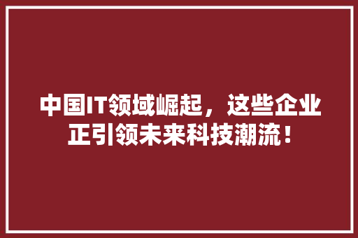 中国IT领域崛起，这些企业正引领未来科技潮流！
