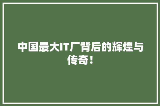 中国最大IT厂背后的辉煌与传奇！