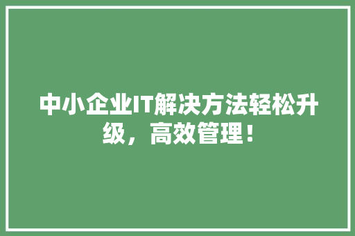 中小企业IT解决方法轻松升级，高效管理！