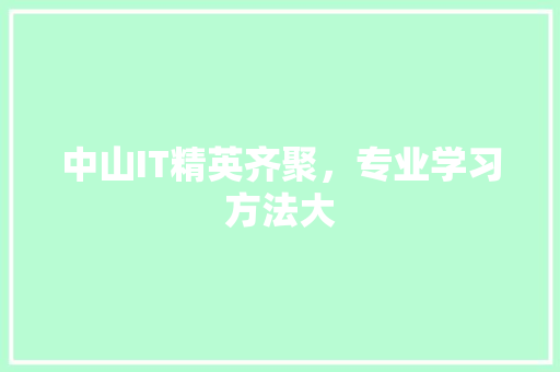 中山IT精英齐聚，专业学习方法大 必应SEO